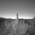 Webcam_20200205-070000