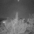 Webcam_20200205-183000
