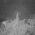Webcam_20200205-190000