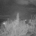Webcam_20200205-193000
