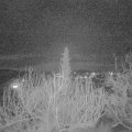 Webcam_20200205-200000