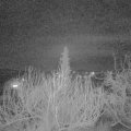 Webcam_20200205-220000