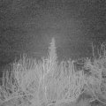Webcam_20200206-063000