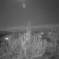 Webcam_20200206-183000