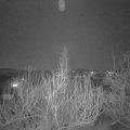 Webcam_20200206-190000