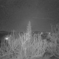 Webcam_20200206-200000