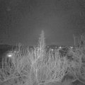 Webcam_20200206-203000