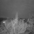 Webcam_20200206-213000