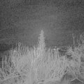 Webcam_20200207-050000