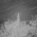 Webcam_20200207-053000