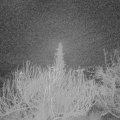 Webcam_20200207-060000