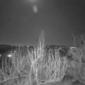 Webcam_20200207-193000