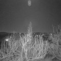 Webcam_20200207-200000