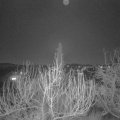 Webcam_20200207-203000