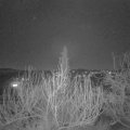 Webcam_20200207-210000