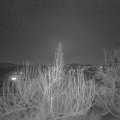 Webcam_20200207-213000