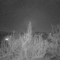 Webcam_20200207-220000