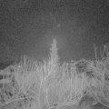 Webcam_20200208-050000