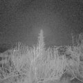 Webcam_20200208-053000