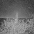Webcam_20200208-063000