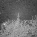 Webcam_20200208-183000