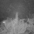 Webcam_20200208-190000