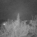 Webcam_20200208-193000