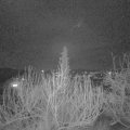 Webcam_20200208-213000