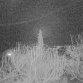 Webcam_20200209-203000