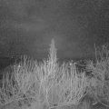 Webcam_20200210-050000