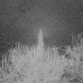 Webcam_20200210-053000