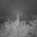 Webcam_20200210-070000