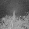 Webcam_20200210-193000