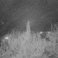 Webcam_20200210-200000