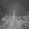 Webcam_20200210-203000