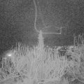 Webcam_20200210-210000