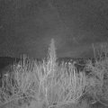 Webcam_20200211-050000