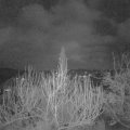 Webcam_20200211-053000