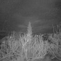 Webcam_20200211-063000
