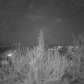 Webcam_20200211-183000
