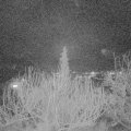 Webcam_20200211-190000