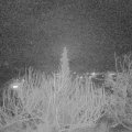 Webcam_20200211-193000