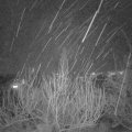 Webcam_20200211-200000