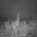 Webcam_20200212-050000