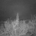 Webcam_20200212-053000