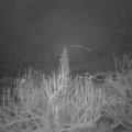 Webcam_20200212-063000