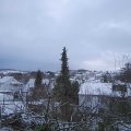 Webcam_20200212-083000