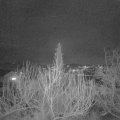 Webcam_20200212-183000