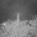 Webcam_20200212-190000