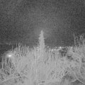 Webcam_20200212-193000